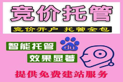 竞价推广SEM托管策略优化——某科技公司的成功经验